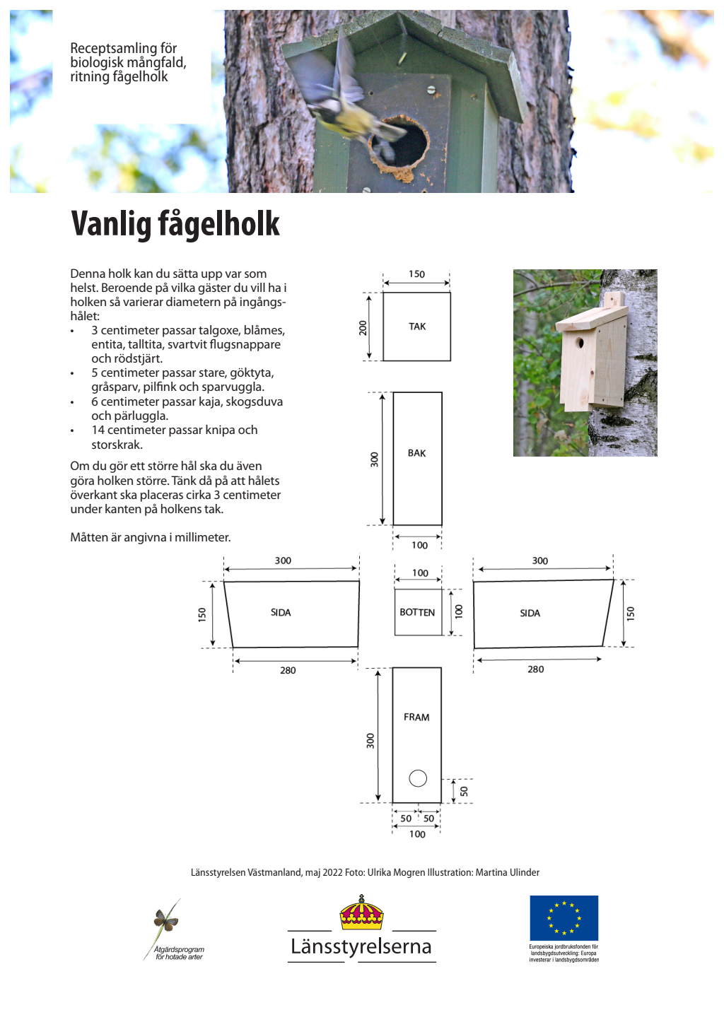 Naturskyddsföreningen fågelholk ritning